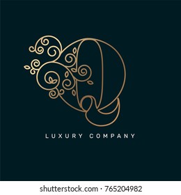 Vector graphic elegant logotype / Letter Q