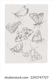 Vector graphic with with fantasy moths, butterflies pencil drawing sketch. Decor printable art. Perfect for prints, posters, logos, branding, social media, homedecor