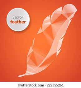 vector graphic feather on an orange background