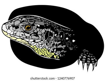 Vector graphic of female sand lizard peeking out of burrow before laying eggs with only head and one claw visible in colour.