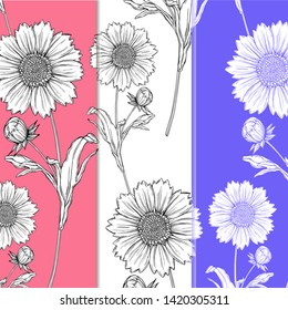 vector graphic floral background with flowers of camomile