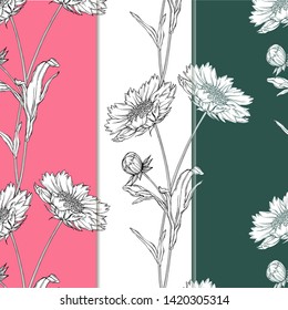 vector graphic floral background with flowers of camomile