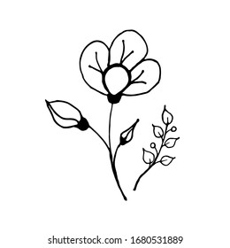 
 Vektorillustration-Grafik. Blumendoodle-Motiv. Lineare Blumensymbole. Frühlingsblumen und -pflanzen