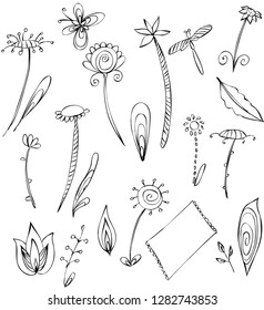Vector graphic flowers, butterfly, frame and leaves, vector fabulous floral motifs