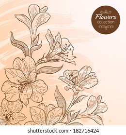 Vector graphic flowers collection. The Alstroemeria. Colorful background for your design of invitation or greeting cards