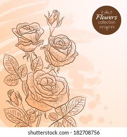Vector graphic flowers collection. Bouquet of roses. Colorful background for your design of invitation or greeting cards