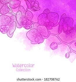 Vector graphic flowers collection. Bouquet of orchids. Colorful background for your design of invitation or greeting cards