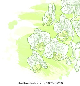 Vector graphic flowers collection. Bouquet of orchids. Colorful background for your design of invitation or greeting cards