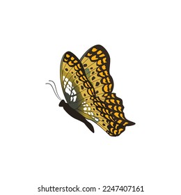Vektorgrafik fliegender Monarchen-Schmetterling einzeln auf weißem Hintergrund.