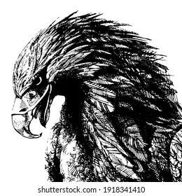vector graphic freehand drawing of beautiful proud eagle imitation of black ink isolated on white background. can be used as a tattoo, illustrations, printing on T-shirts, postcards, advertising.