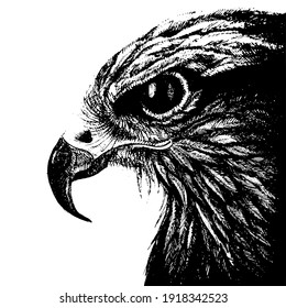 vector graphic freehand drawing of beautiful proud eagle imitation of black ink isolated on white background. can be used as a tattoo, illustrations, printing on T-shirts, postcards, advertising.