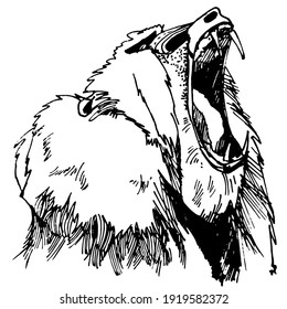 vector graphic freehand drawing of beautiful snarling baboon imitation black ink isolated on white background. can be used as a tattoo, illustrations, printing on T-shirts, postcards, advertising.