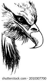 vector graphic freehand drawing of beautiful proud eagle imitation of black ink isolated on white background. can be used as a tattoo, illustrations, printing on T-shirts, postcards, advertising.