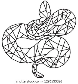 Vector graphic geometric image. Snake