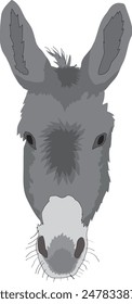 Vector graphic of a gray donkey