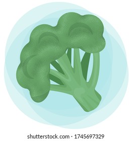 Vector graphic green broccoli on a blue background. Healthy food illustration for icons, logo, design and banners.