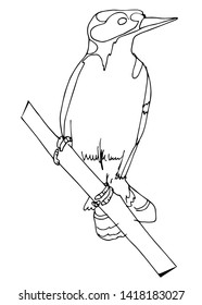 Vector graphic. Hand drawn bird illustration.