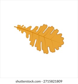 Vector graphic icon for dried oak leaf