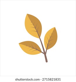 Icono gráfico de Vector para hoja de nogal