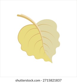 Vector graphic icon for japanese maple