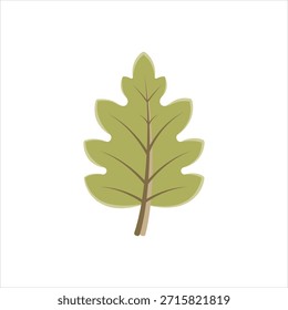 Ícone gráfico vetorial para folha de carvalho