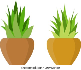 Vektorgrafik, Aloe Vera-Pflanze, Flachgrafik, Ideen von Hauspflanzen
