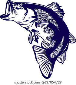 Vector graphic illustration. Baramundi fish silhouette is suitable for use as fishing logo design material and t-shirt design 
