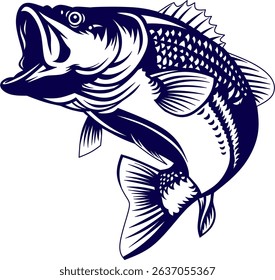 vector graphic illustration... barramundi fish vector image suitable for use for fishing logo design 