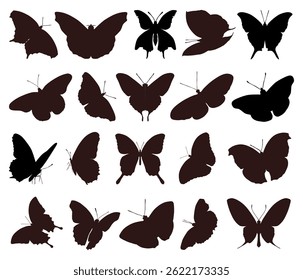 Vector graphic illustration of big set of butterfly silhouettes isolated.