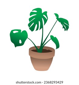 Ilustración gráfica vectorial de plantas botánicas en macetas