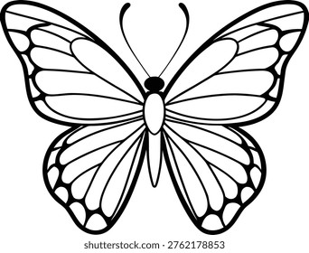 Vector graphic illustration of a butterfly with open wings.