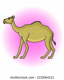 vector graphic illustration of a camel for design needs or products such as children's books and others. simple vector illustration.