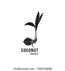 vector graphic illustration coconut bonsai great for icon, logo, design and others