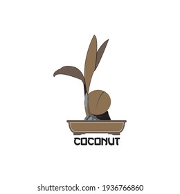 vector graphic illustration coconut bonsai great for icon, logo, design and others