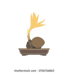 vector graphic illustration coconut bonsai great for icon, logo, design and others