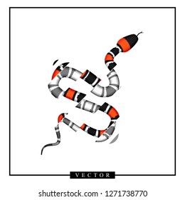 Vector Graphic Illustration of Coral Snake or Micrurus for Cool T Shirt Design. Serpent with Orange and Black Stripes