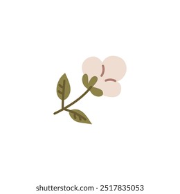 Vector graphic illustration of a cotton flower with a fluffy bud and green leaves. This icon highlights the natural beauty of the plant on a white background.