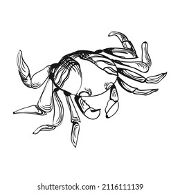 Vector graphic illustration of crab isolated on white background