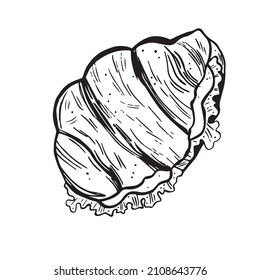 Vector graphic illustration of a croissant on a 
white isolated background