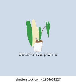 vector graphic illustration decorative  plant Neo Taro tree great for logo, icon, walpaper and others there is a color black, white, yellow  and green