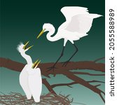Vector graphic illustration of egret chicks in the nest