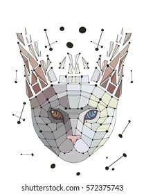 Vector. Graphic illustration of face cat broken into fragments. 