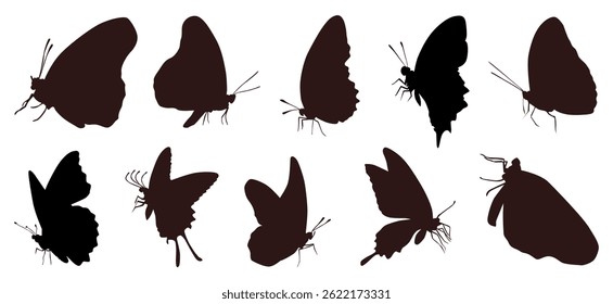 Vector graphic illustration of flying butterfly collection, silhouette.