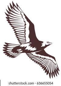 Vector graphic illustration of a flying eagle with open wings