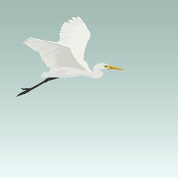 Vector Graphic Illustration Of A Flying Egret