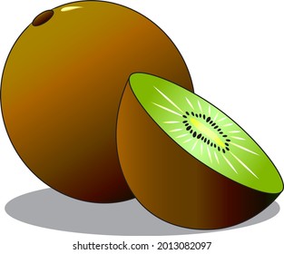 Vector graphic illustration of fresh kiwi fruit, good for health