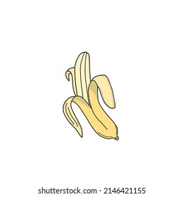 Vector graphic illustration of a fresh peeled banana