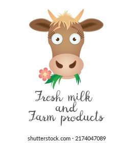 Vector graphic illustration of a funny cow with a pink flower on a white background