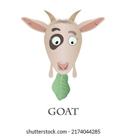 Vector  graphic illustration of a funny goat with a cabbage on a white background