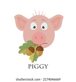 Vector graphic illustration of a funny pig with acorns on a white background